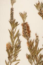 © Landcare Research 